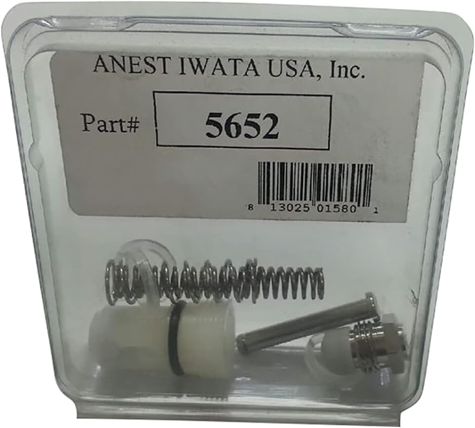 Anest Iwata LS/WS Repair Service Kit