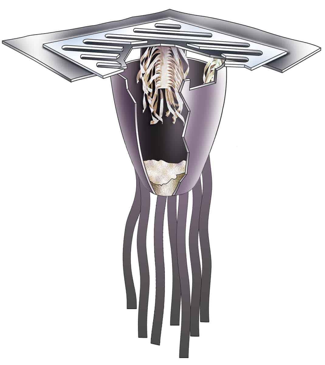 UltraTech Ultra-Drain Guard® - Ultimate Model