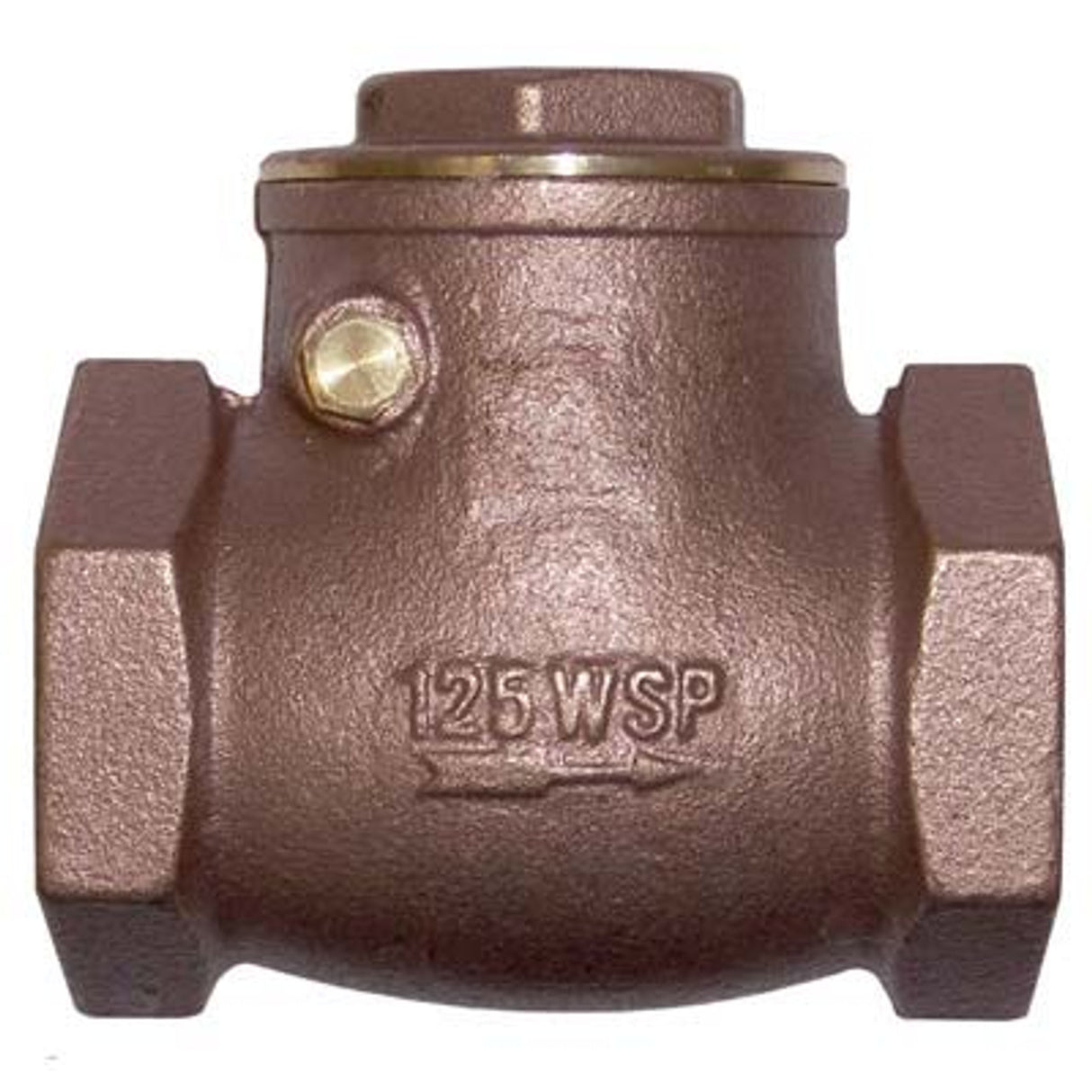 Pirate Brand - CLEMCO/ZERO, Check Valve, Swing 1" (Pressure Cabinet Pipe String 1")
