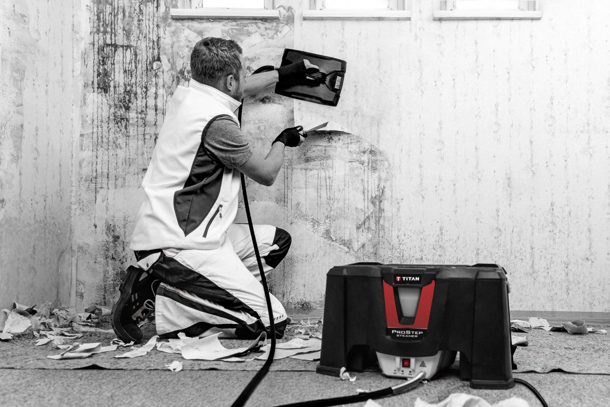 Titan Pro Step Steamer