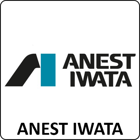 Anest Iwata