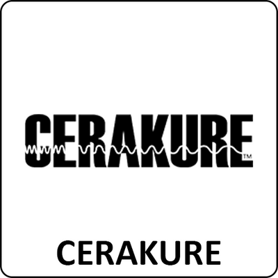 Cerakure IR Curing Ovens