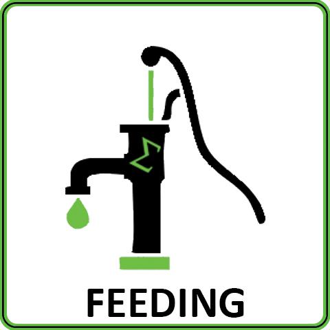 feeding