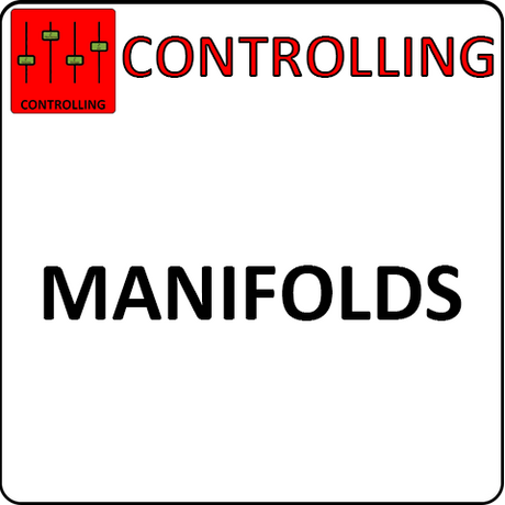 Pirate Brand Manifolds