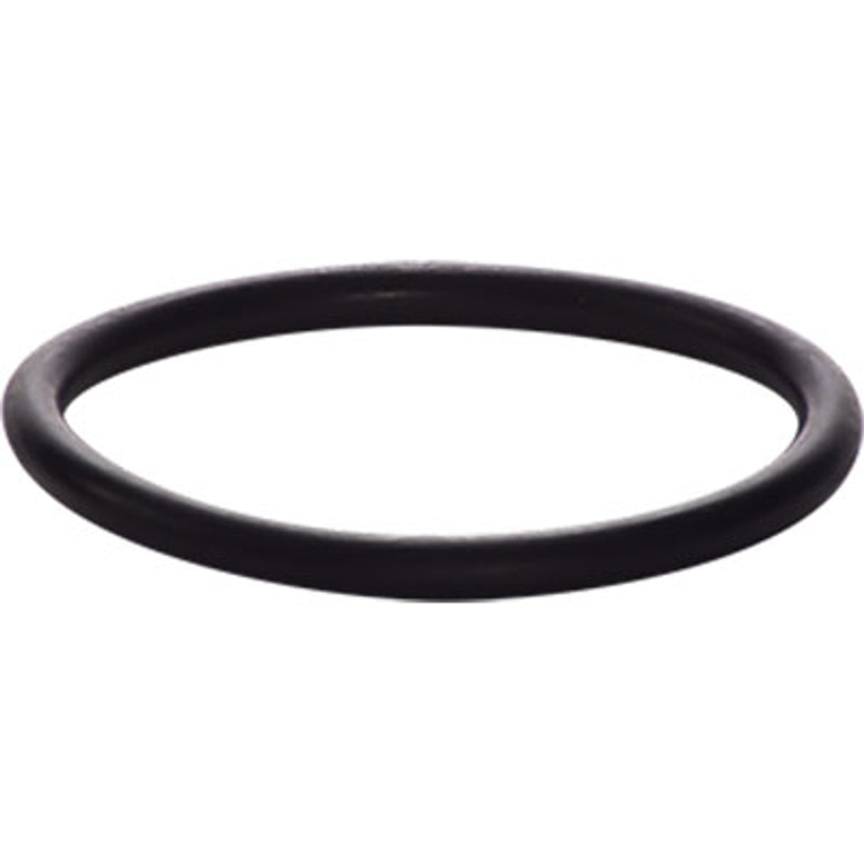 Pirate Brand - BULLARD®, Free Air Pump Outlet Filter, Assembly O-Ring