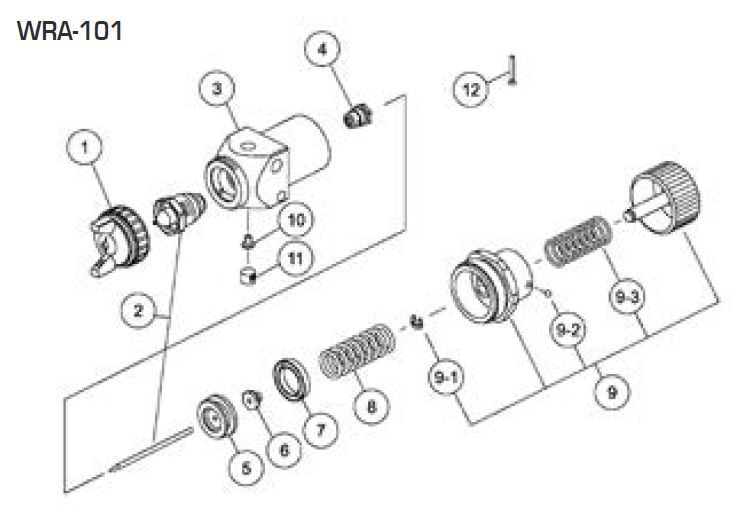 Anest Iwata 93831621 - Nozzle/Needle Set (WRA-101)