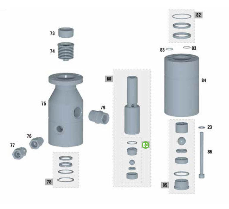 Sagola PT56418476 Piston (Upper) Valve Kit