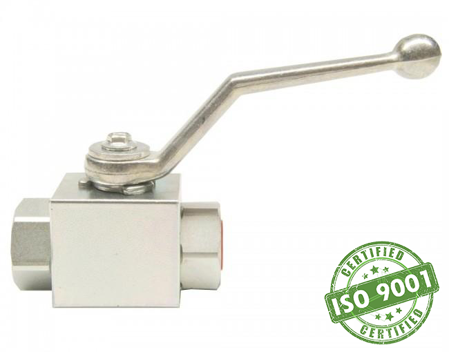 High Pressure Ball Valve - 1/4” NPS (F) 7,250 psi - Total Finishing Supplies